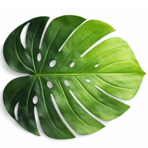 Botanical Leaf Placemat