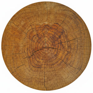 Wood Rings Placemat
